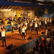 KG Fidele Bröhler Falkenjäger (11.02.12)